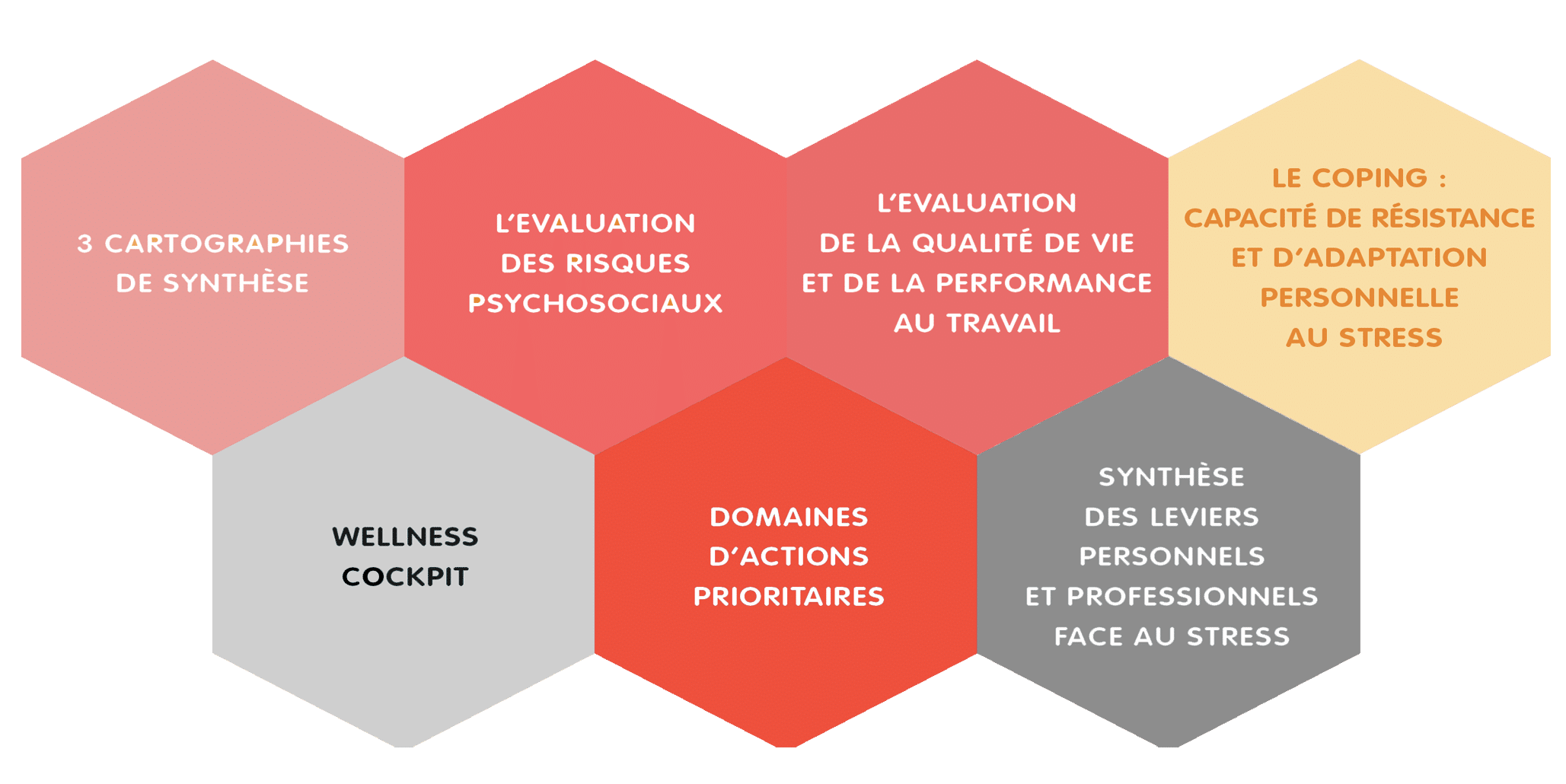 outil-évaluation-qvt-wellscan-occatio